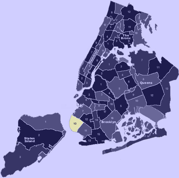 Map of the five boroughs separated by community board